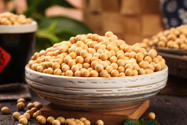 新冠病毒 非转基因和转基因黄豆,差别大,看这一眼就能区分,看完别买错了