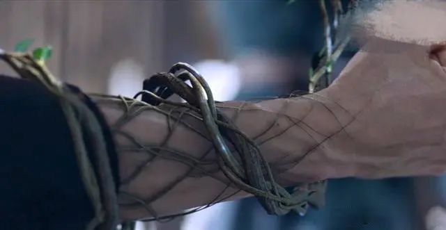 山河令|明星新媒体指数大洗牌：山河令CP成黑马，榜首难撼动，王一博意外