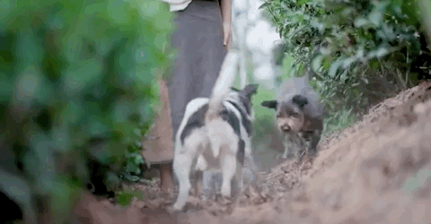 她修45㎡毛坯房火了：不用空调、少刷手机，朋友却踏破门