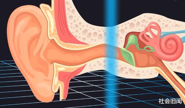 基因 人类因进化而消失的特殊能力，预估至少有6种，我们自身原本能发电