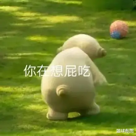 火箭队|致敬偶像!问题少年又惹事,火箭心寒..