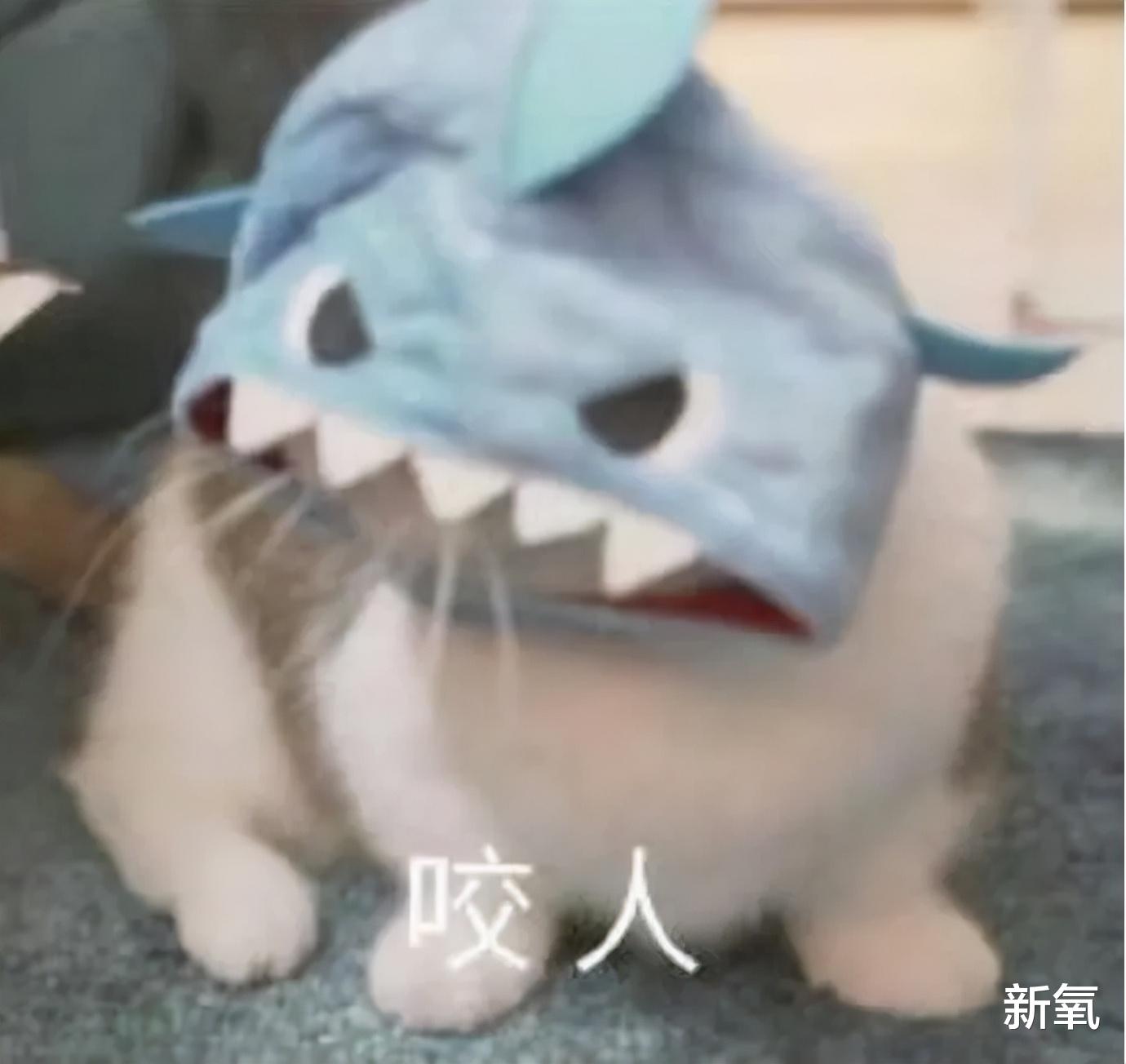 张馨予 深扒月入15w的假减肥药贩子：坑你钱还要身材羞辱你！