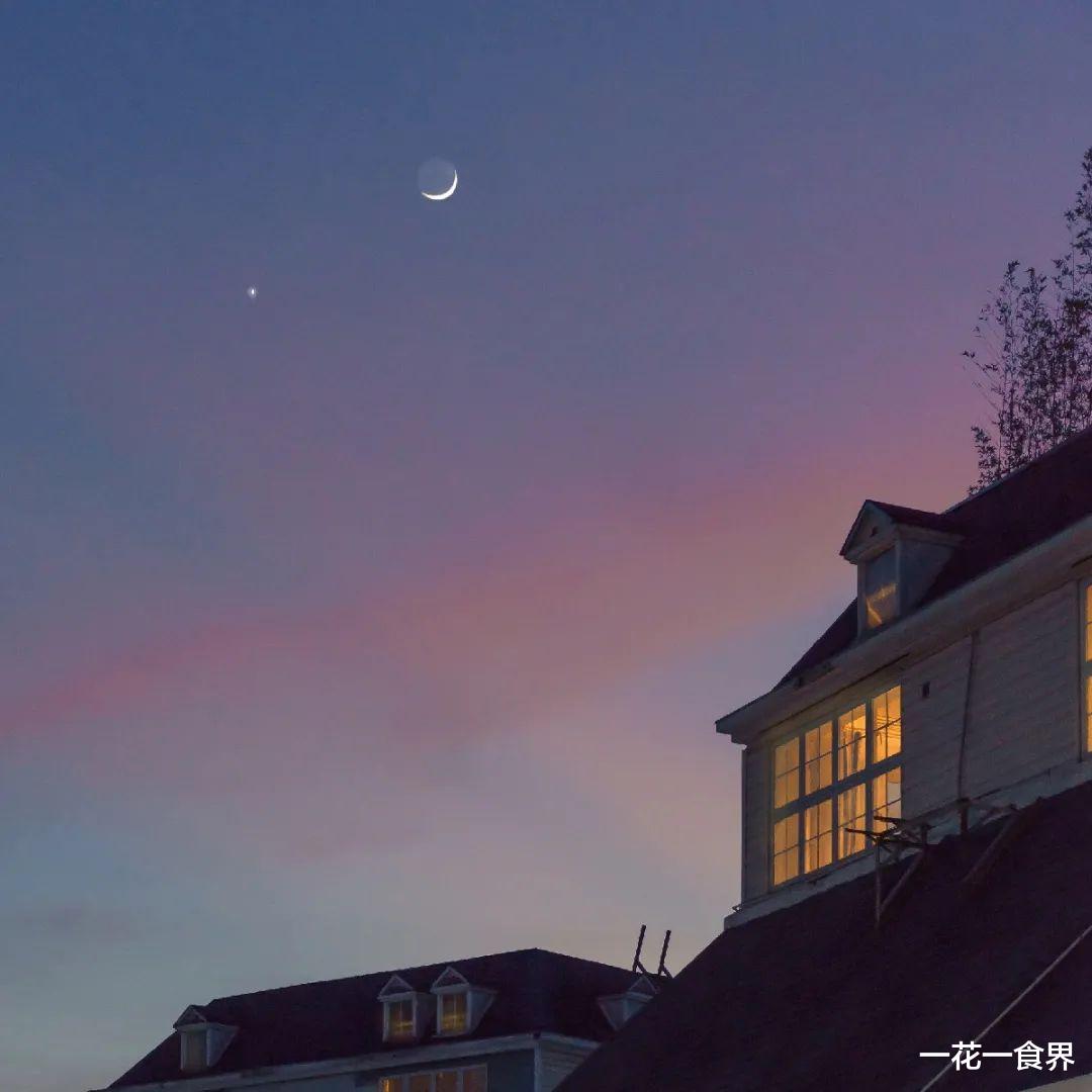 一花一食界|仲夏夜的风~