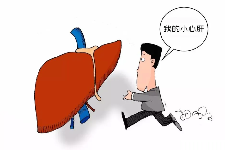 健康陕西发布|世界肝炎日｜全面遏制肝炎危害，怎么做？