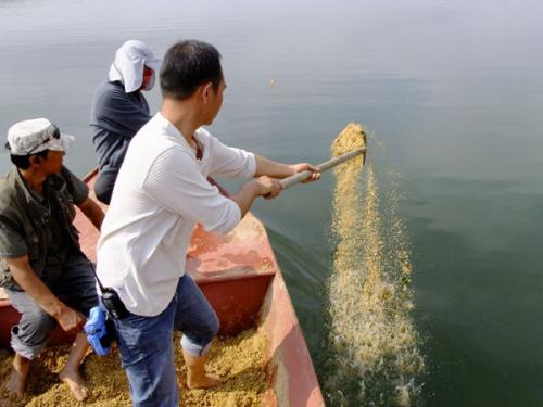 |盘点钓鱼界的狠人，对鱼狠对自己更狠，一个比一个狠