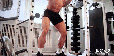 增肌减脂|几个理由告诉你:健身为什么要加入力量训练?