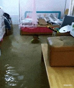 大学生|“华为1996年的招聘广告，大家自己感受一下！”哇哈哈哈哈～