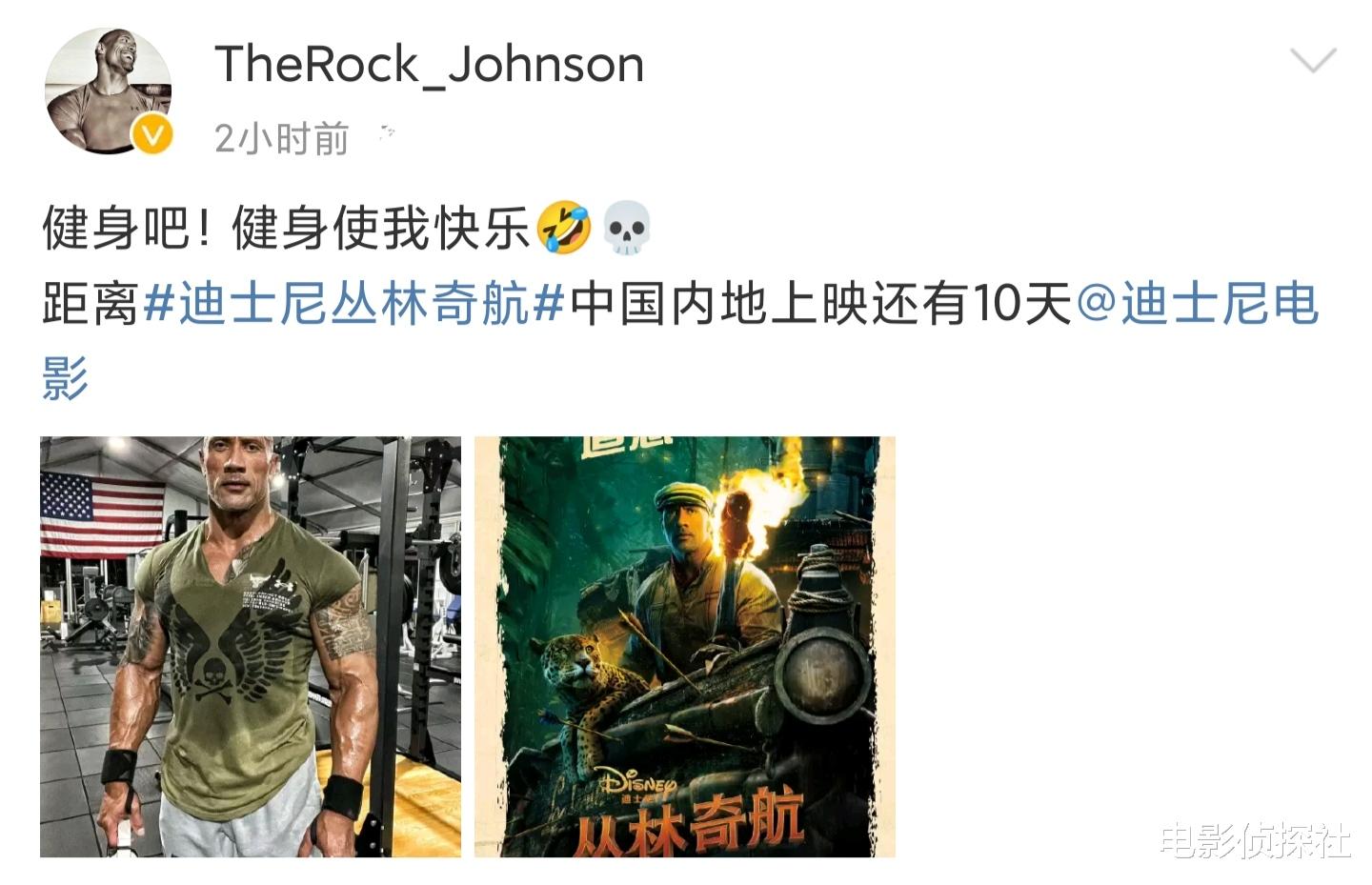 道恩·强森|《丛林奇航》定档，中国上映晚了100天，靠巨石强森能赢回票房吗