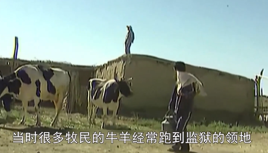 魔城一评 京城头号悍匪，枪杀军民15人，因不想当母亲面杀人被抓，判死刑