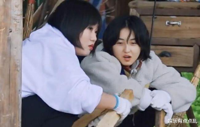 李雪琴|同样是《向往》女嘉宾, 杨紫和李雪琴有何差别? 张艺兴评价一语中的