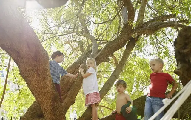 那群妈妈|为什么父母的焦虑毫无意义？看完这篇文章你就明白了