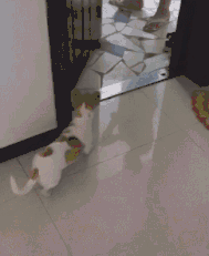 |“女朋友绿了我，我也绿了她，我们还在一起是真爱吗？”哈哈哈哈