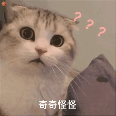 桉月|表情包： 全网无前任有也不承认