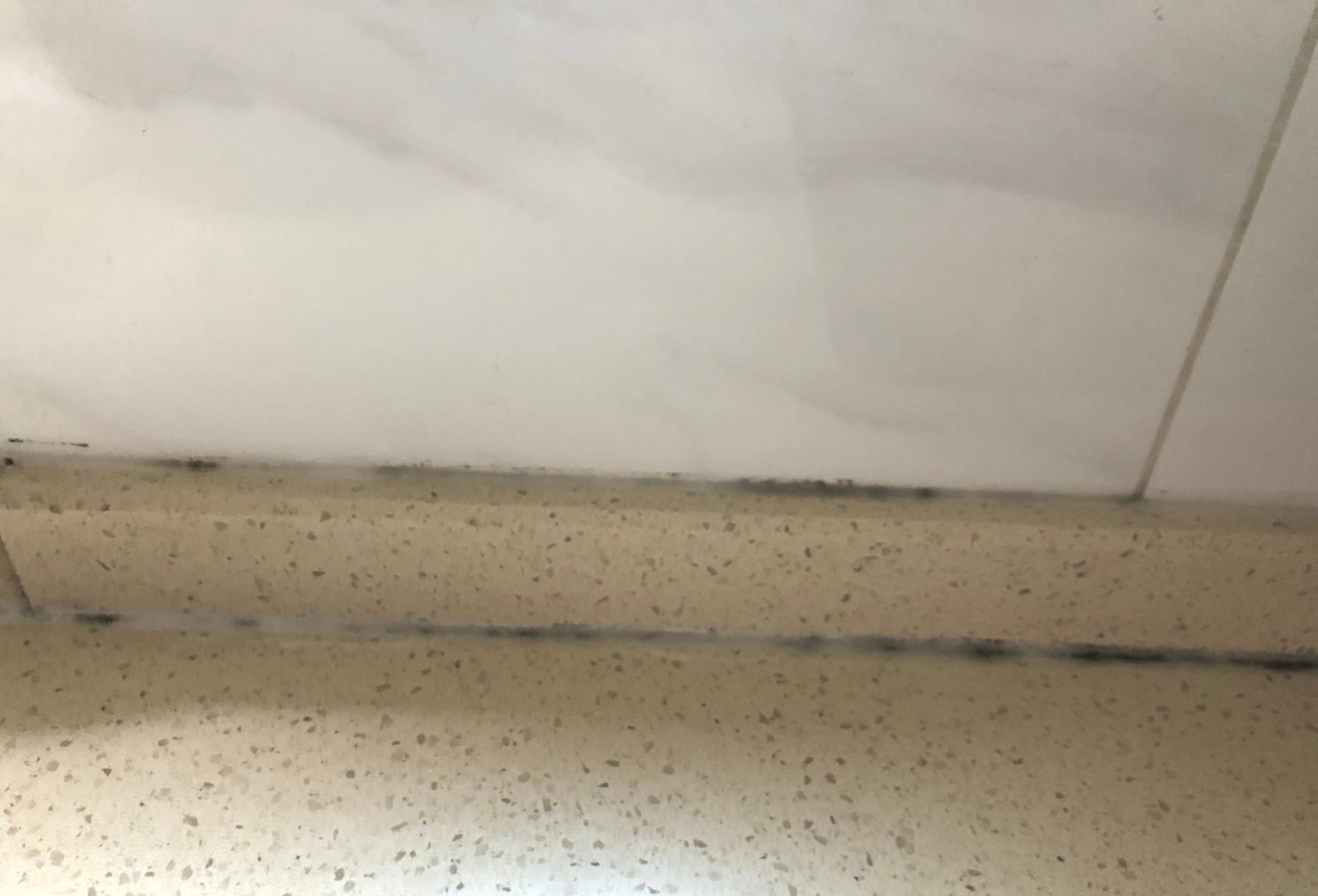 无论房子大小，家里尽量添置这3样“便宜货”，让你越住越顺心！