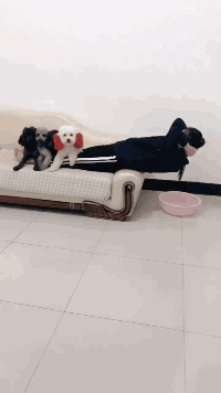 大城小乐故事 “和男友住主题酒店，很纳闷浴室里的这东西是干啥用的？”哈哈哈哈