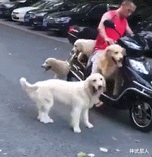 神武星人|“公司新来的秘书，她说没有试用期就直接转正，反正我啥也不敢问！”哈哈哈