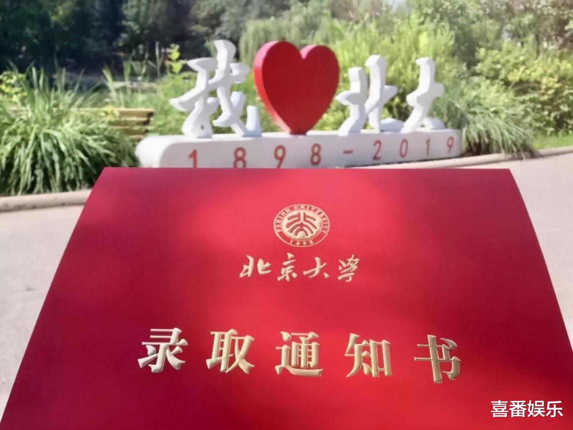 杨超越|盘点央视八位才华横溢的男主持，撒贝宁、康辉、朱广权等各有千秋