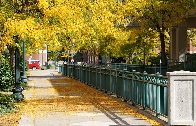 运势 9月30日 八月廿四，十二生肖运势与注意事项