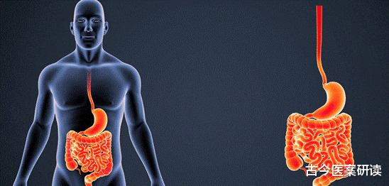 芹菜|让肠道“焕然一新”的不是芹菜,内科医生:若你常吃,肠道通畅无比