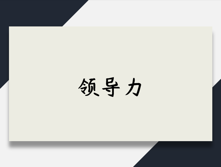 |什么是领导力