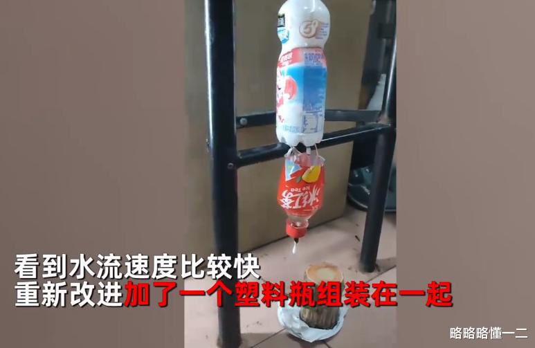 高校|一高校学生放假离校前，自制“神器”安顿好盆栽，放出豪言开学见
