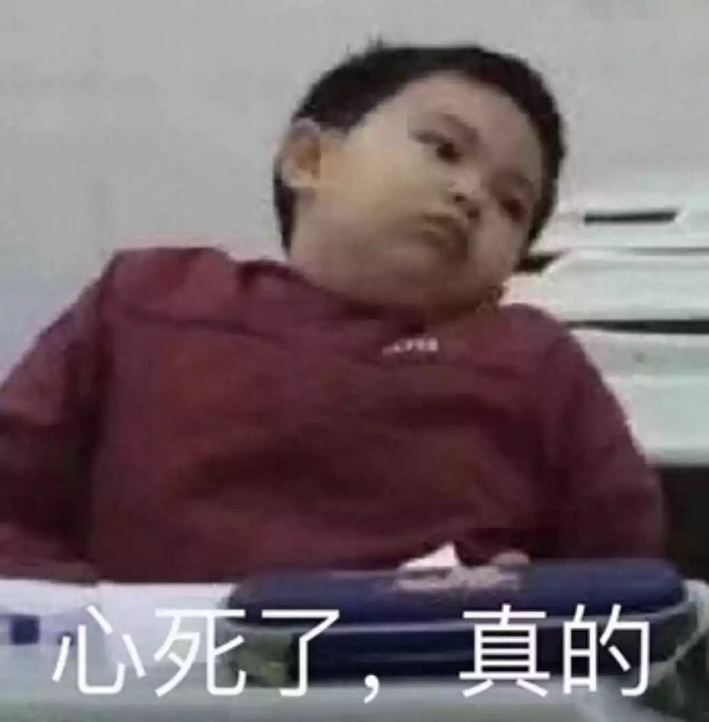 杨紫|全国最大的看片工具，今天正式复活