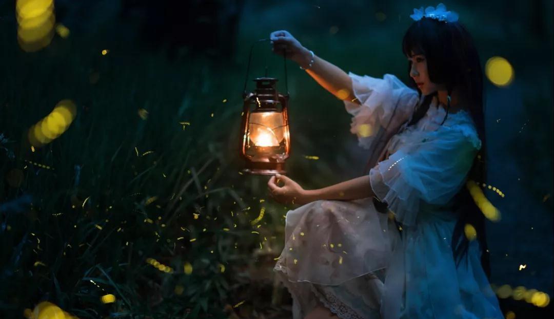 昆虫 以前随处可见的萤火虫为什么很少看到了？它们都去了哪里？