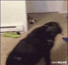 保安|“刚当保安，锁了一辆乱停的轿车，领导会奖励我的！”