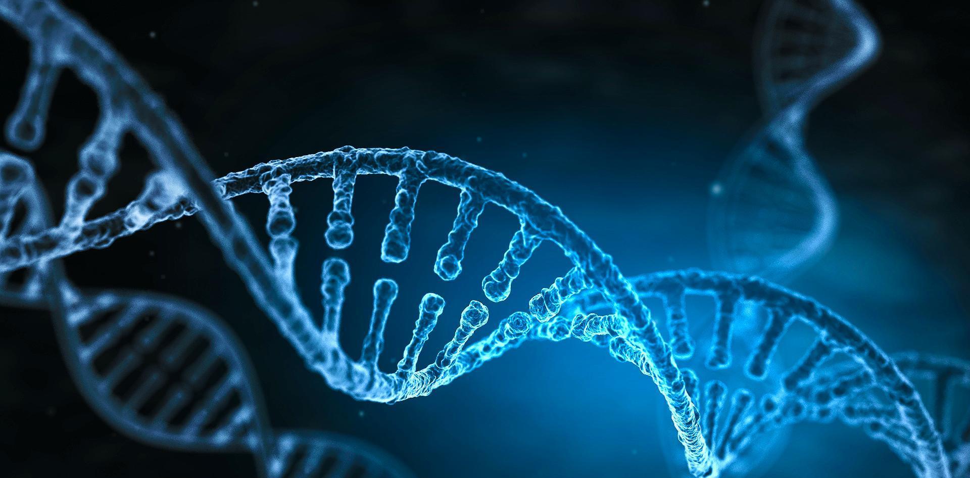 科学家 科学家们实时观察细菌修复断裂的DNA，以了解它是如何完成的