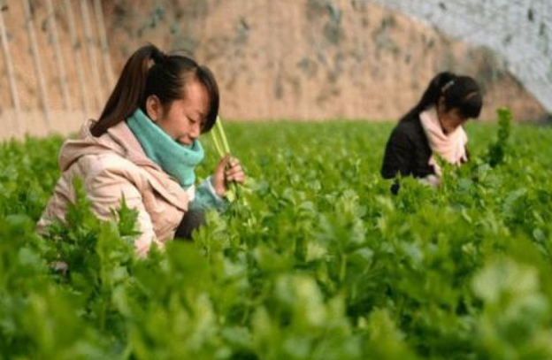 高校|盘点农大学生挂科理由，老师表示爱莫能助，网友：全凭老天赏饭吃