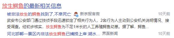 慎点!海关每年截获的邪门生物,只有你想不到…