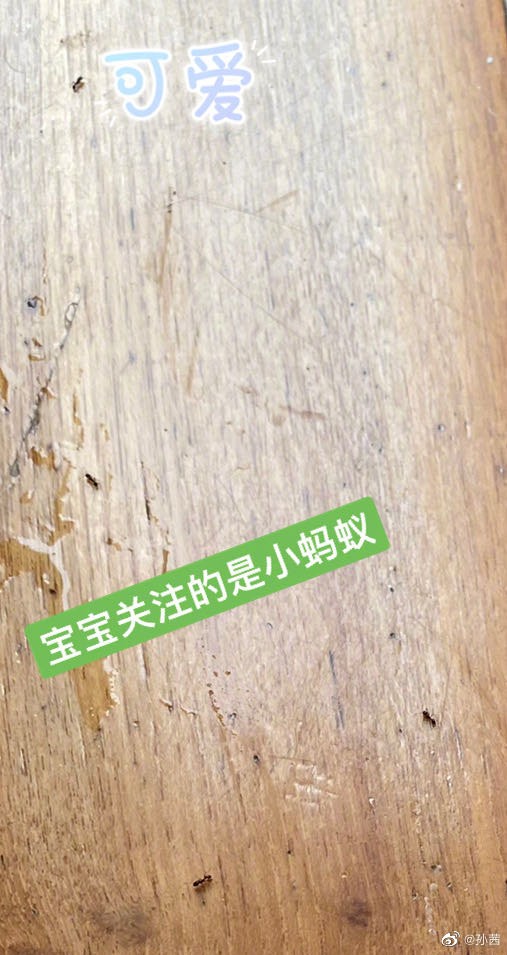 |孙茜晒居家日常，热情分享种菜技巧，阳台地板引关注