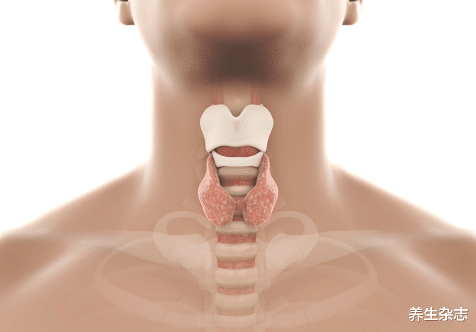 米饭|32岁女士确诊甲状腺结节，三个月转癌，医生提醒：结节严忌这件事