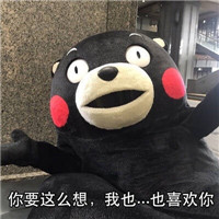 桉月|熊本熊 何以解忧唯有抱抱你