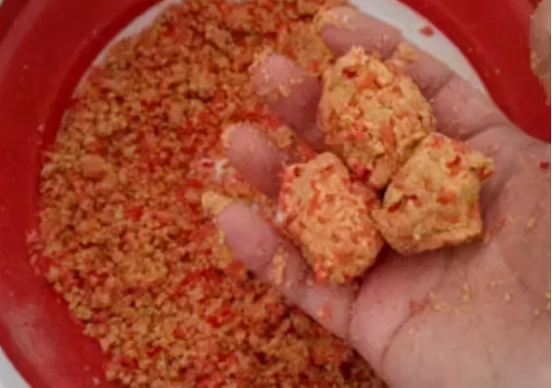 老鼠夹|学会有技巧的打窝，不仅发窝速度快，渔获更是不错