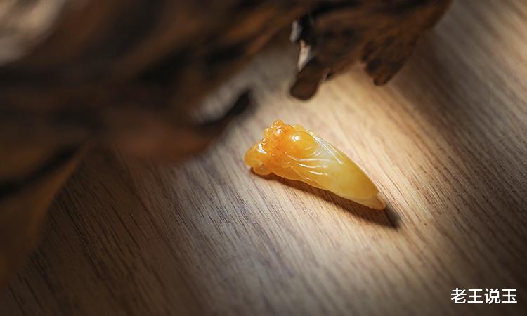 博物馆|国无玉不盛，家无玉不富，人无玉不贵