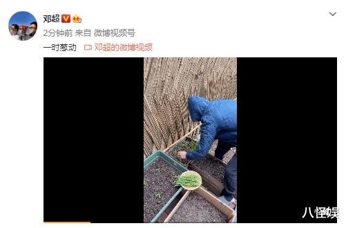 孙俪|邓超淋雨剪葱一棵不剩被孙俪安排全天吃葱，自侃“葱动”逗笑老婆