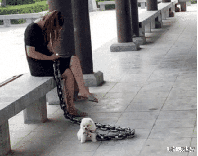  “看到伴娘以后，哪还有空看新娘啊？”太吸引眼球了...哈哈哈...