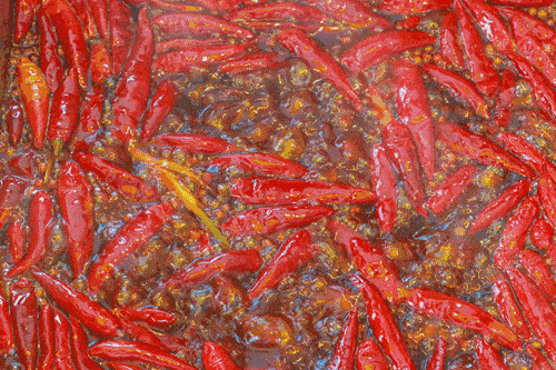 新安江淮 春游江淮请您来：阜南会龙镇——中国“辣椒之乡”