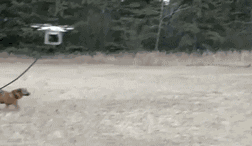 |“聊了一个月的网友奔现了，现在该怎么办？”她在喝水我不敢跑！哈哈哈哈哈～