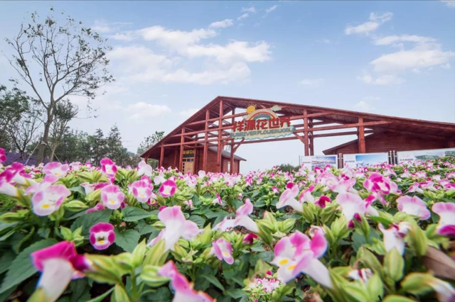 安徽 安徽一景区“出息了”，被新闻联播“夸赞”，或成五一打卡胜地