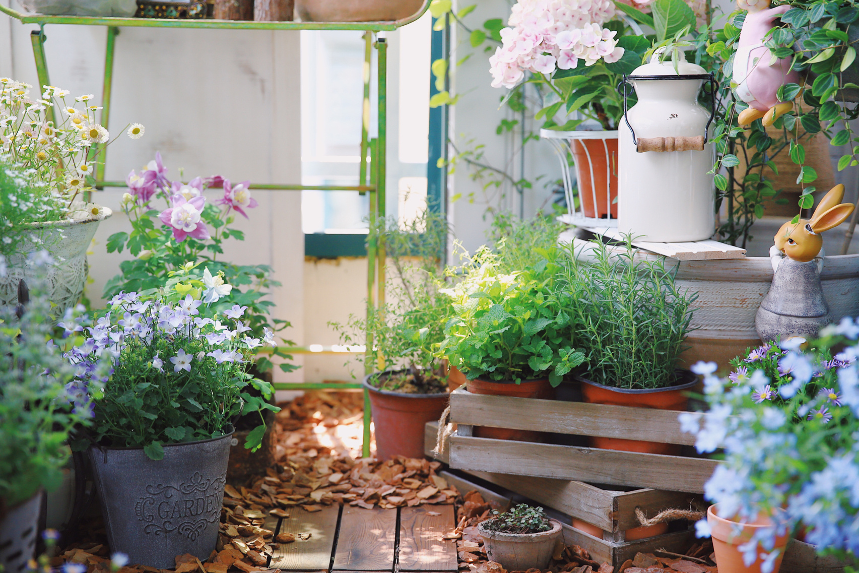 5㎡小阳台，打造治愈系小花园，一个人完成了阳台花园的所有改造