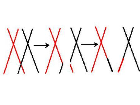 基因 鹅与鸭杂交后的生物可以繁衍？已做了研究，这可能将是致富之路