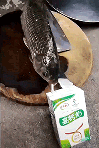 广州市 老婆跟领导出差，发来照片说在广州塔，朋友看了劝我离婚，为什么？