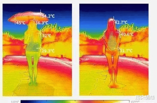 防晒|薇娅\懒人伞\一夜爆红,39度出门不怕晒,网友:防晒霜都省了