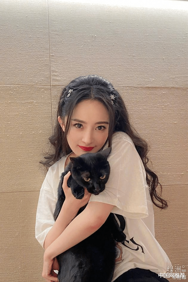 中国网推荐 杨幂晒甜美抱猫营业照 裤子沾满猫毛