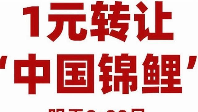 河马说 当年被称为中国锦鲤,中奖1亿的信小呆,如今成为“诈骗犯”?