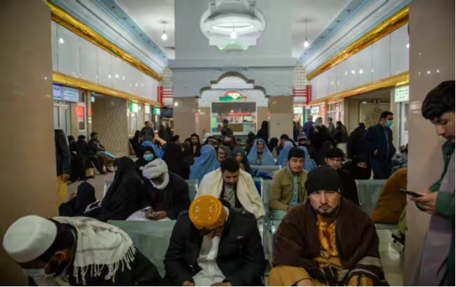 黑市 肾脏黑市疯狂到什么程度？有人几十美元卖肾，有的人睡一觉肾没了