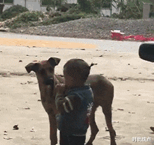 时尚炫点 “如何判断一个男人的能力如何？看腿就行了！”