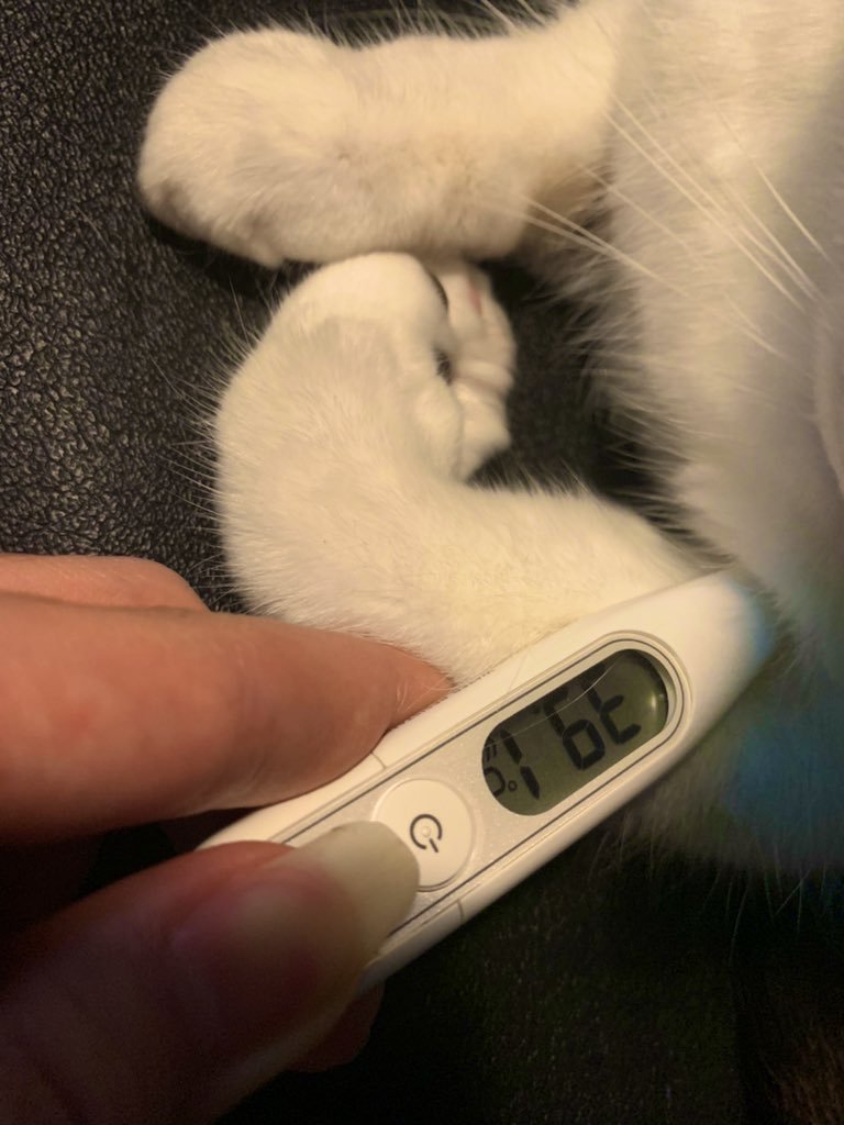 救星阿凉 我要笑吐了！！！！！海澜之家等着销量暴涨吧！！！